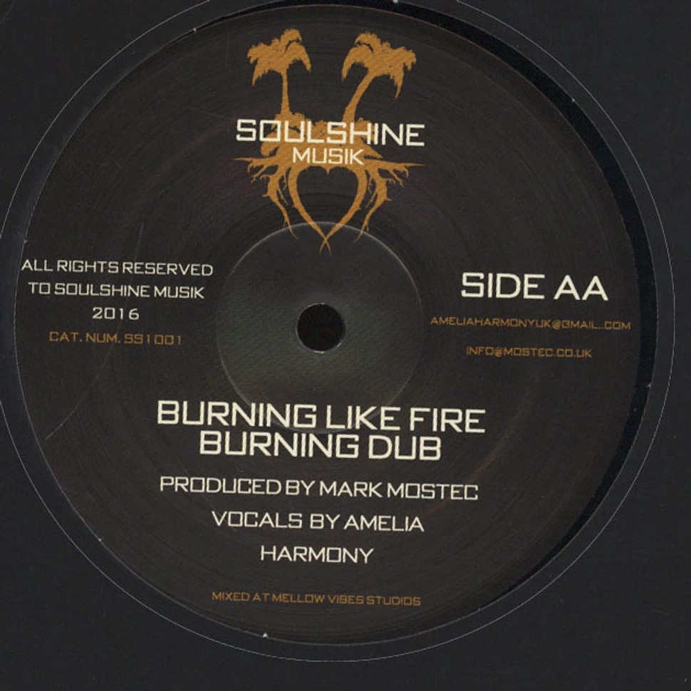 Zion Irie / Amelia Harmony - Show Dem / Burning Like Fire