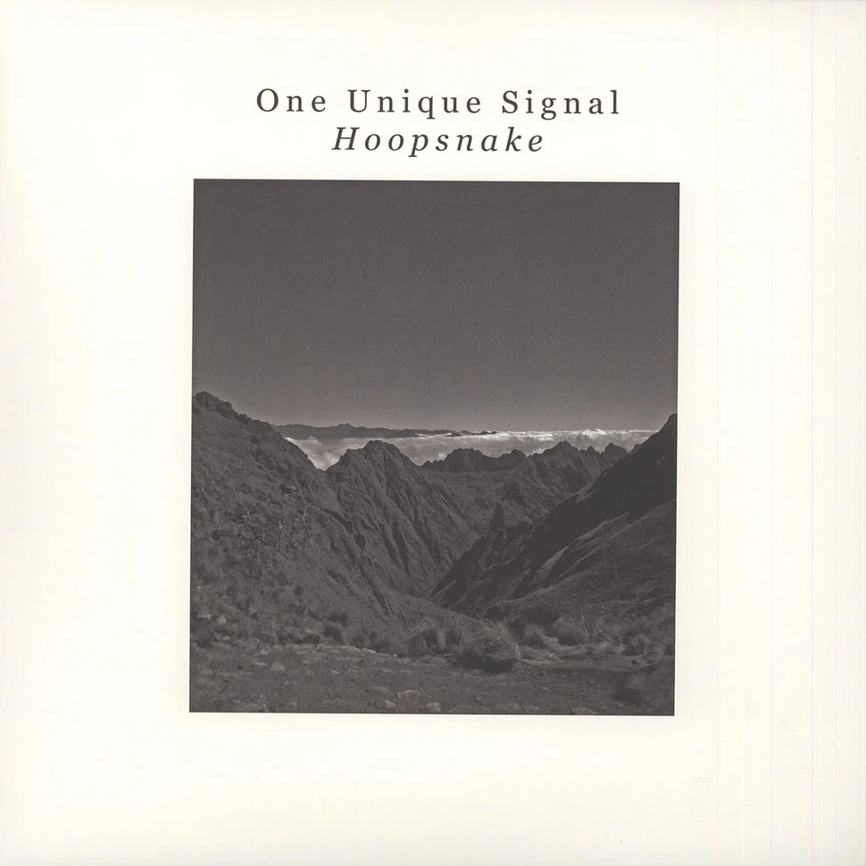 One Unique Signal - Hoopsnake