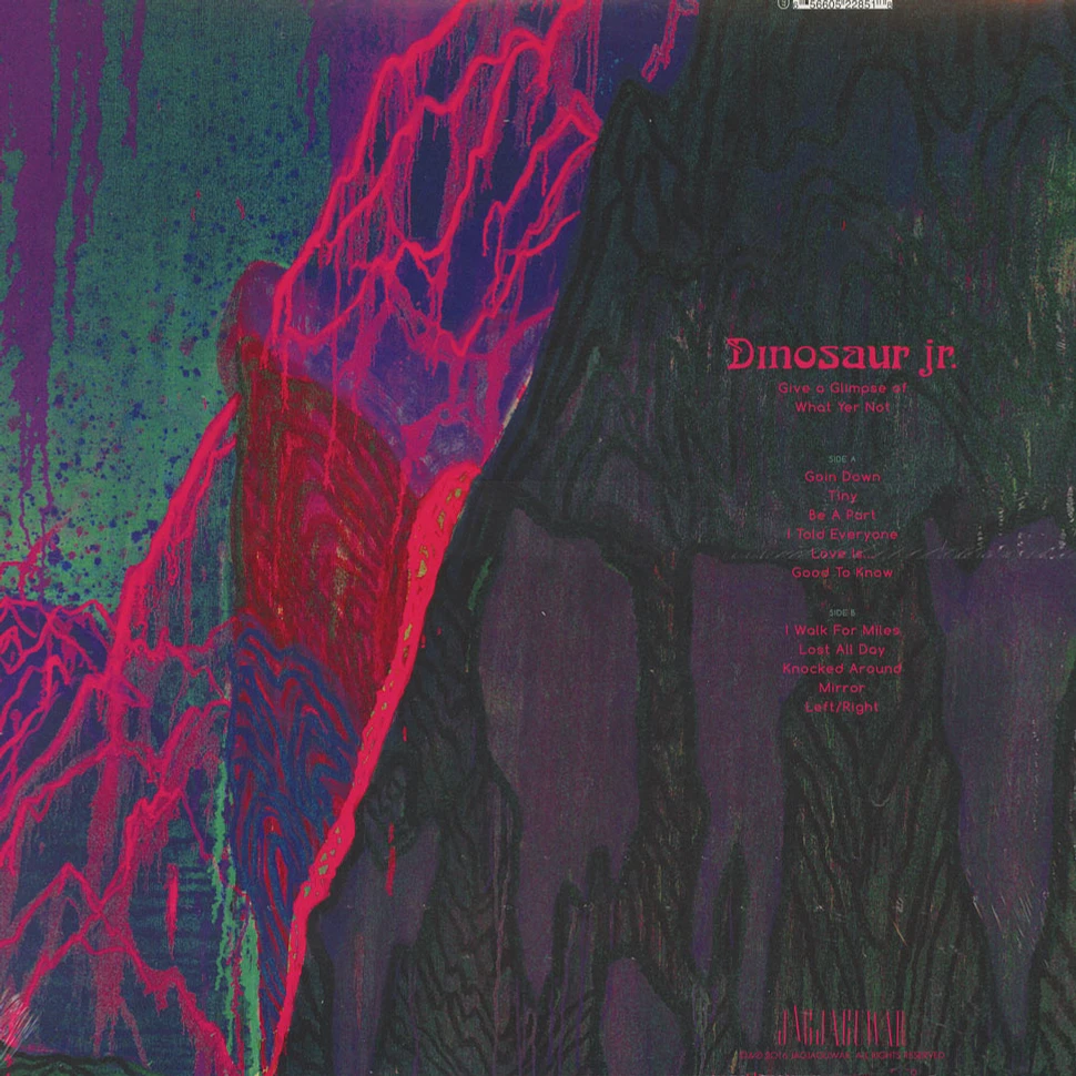 Dinosaur Jr - Give A Glimpse Of What Yer Not Black Vinyl Edition
