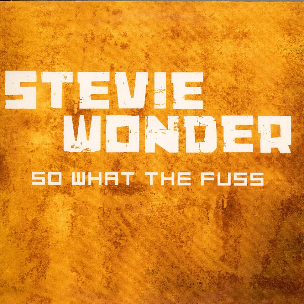 Stevie Wonder - So What The Fuss