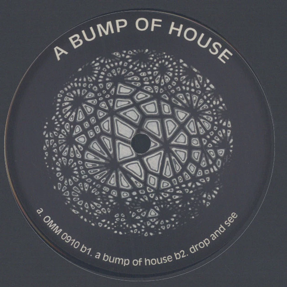 Reade Truth - A Bump Of House