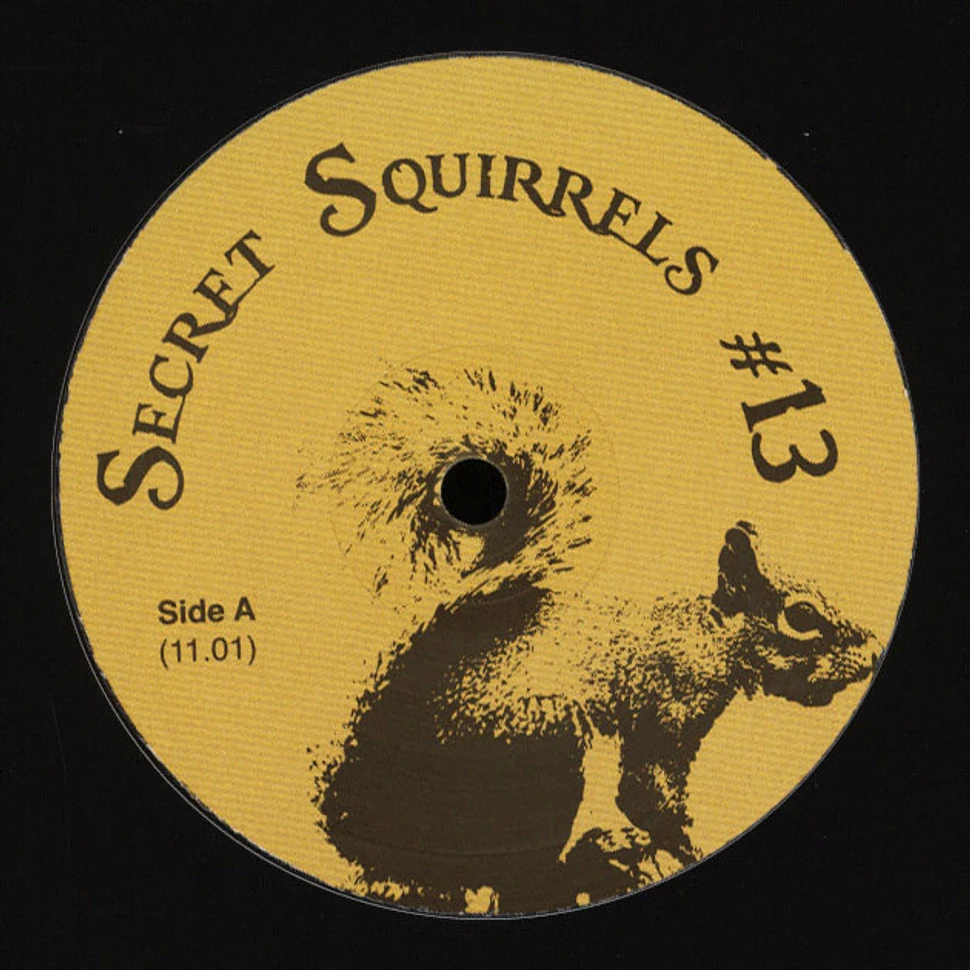 Secret Squirrel - #13