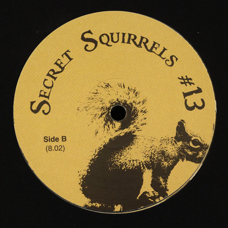Secret Squirrel - #13