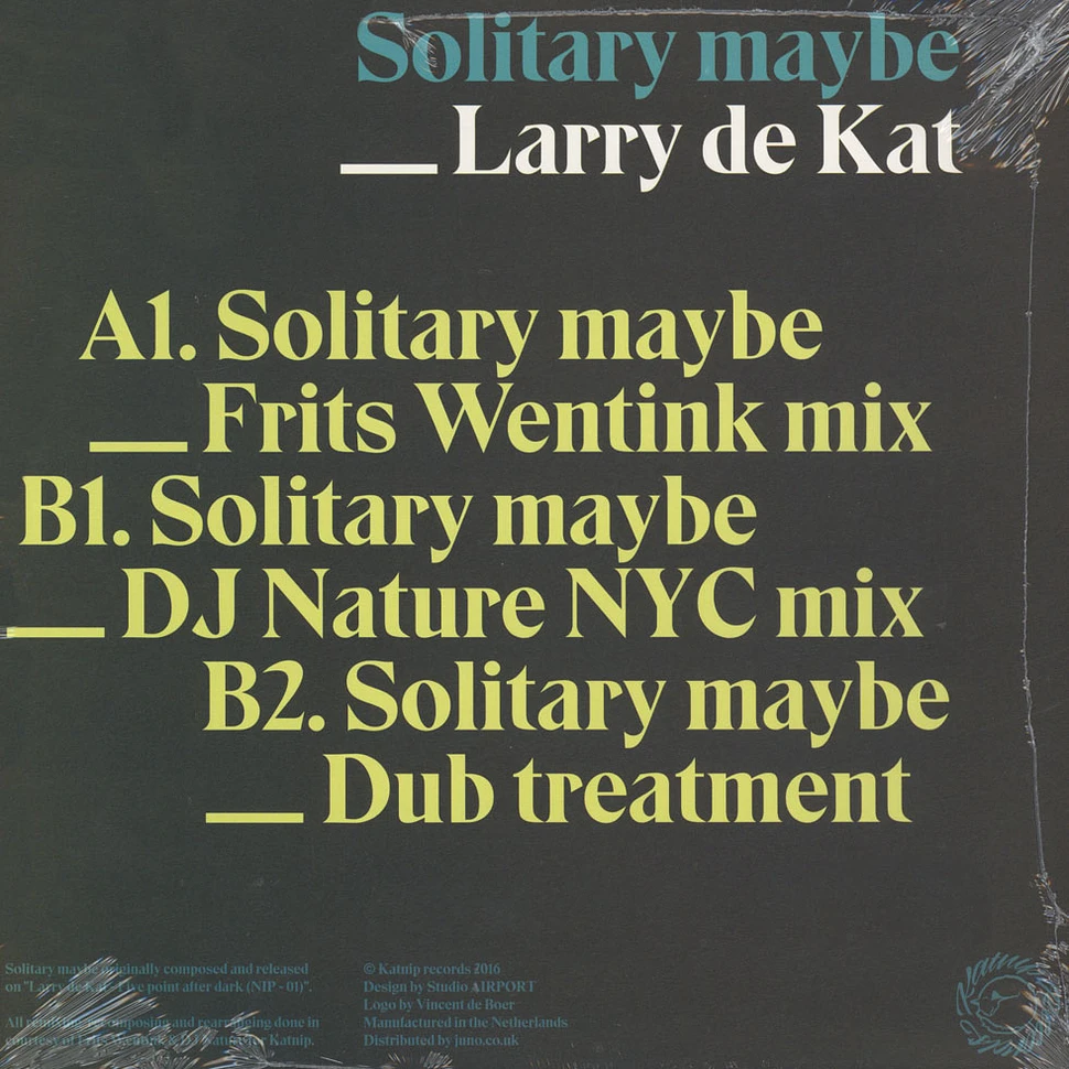 Larry De Kat - Solitary Maybe