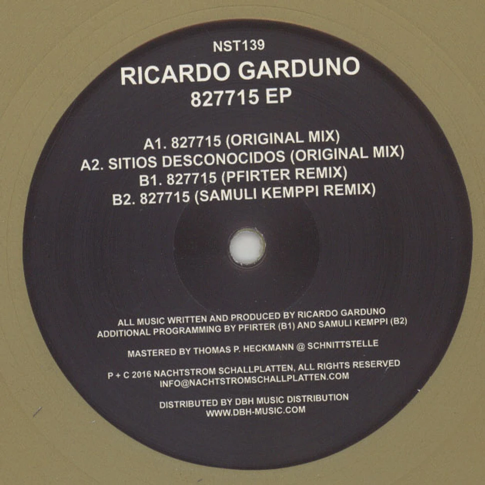 Ricardo Garduno - 827715 EP