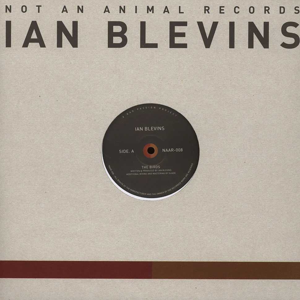 Ian Blevins - Locate Yourself