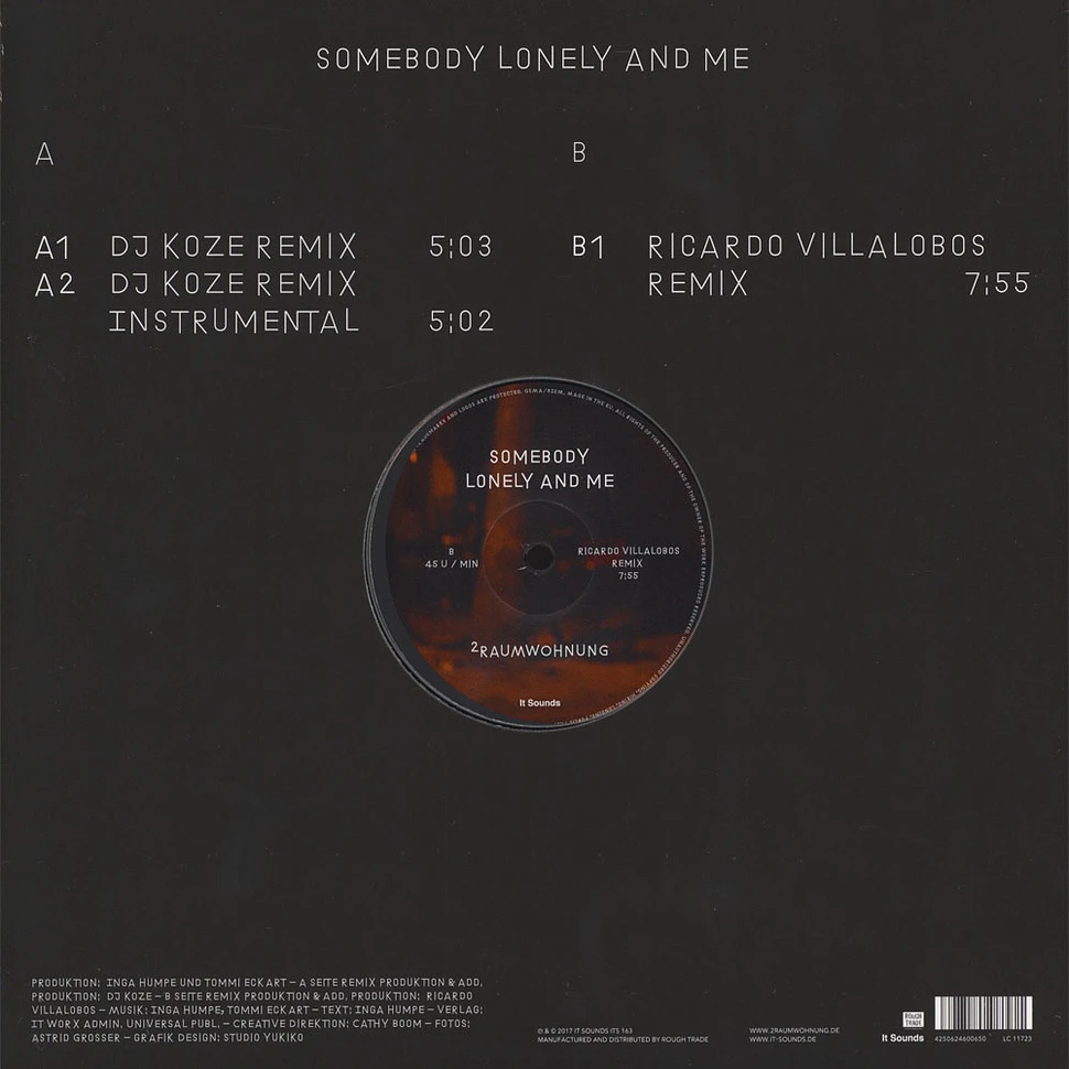 2raumwohnung - Somebody Lonely And Me