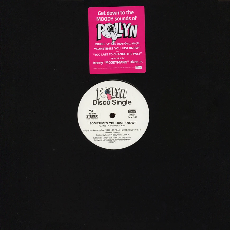 Pollyn - The Moodymann Remixes Back Vinyl Edition