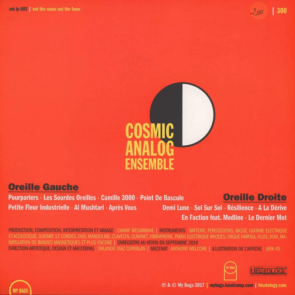 Cosmic Analog Ensemble - Les Sourdes Oreilles