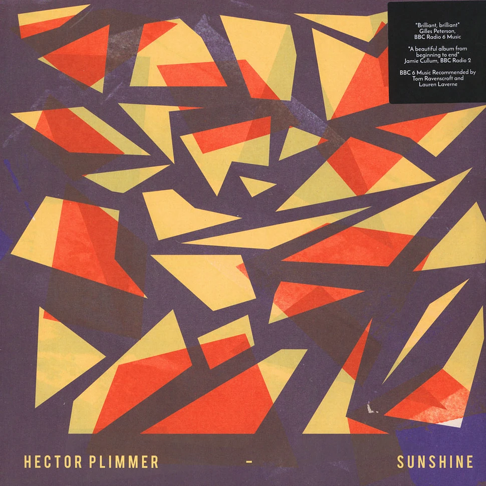 Hector Plimmer - Sunshine