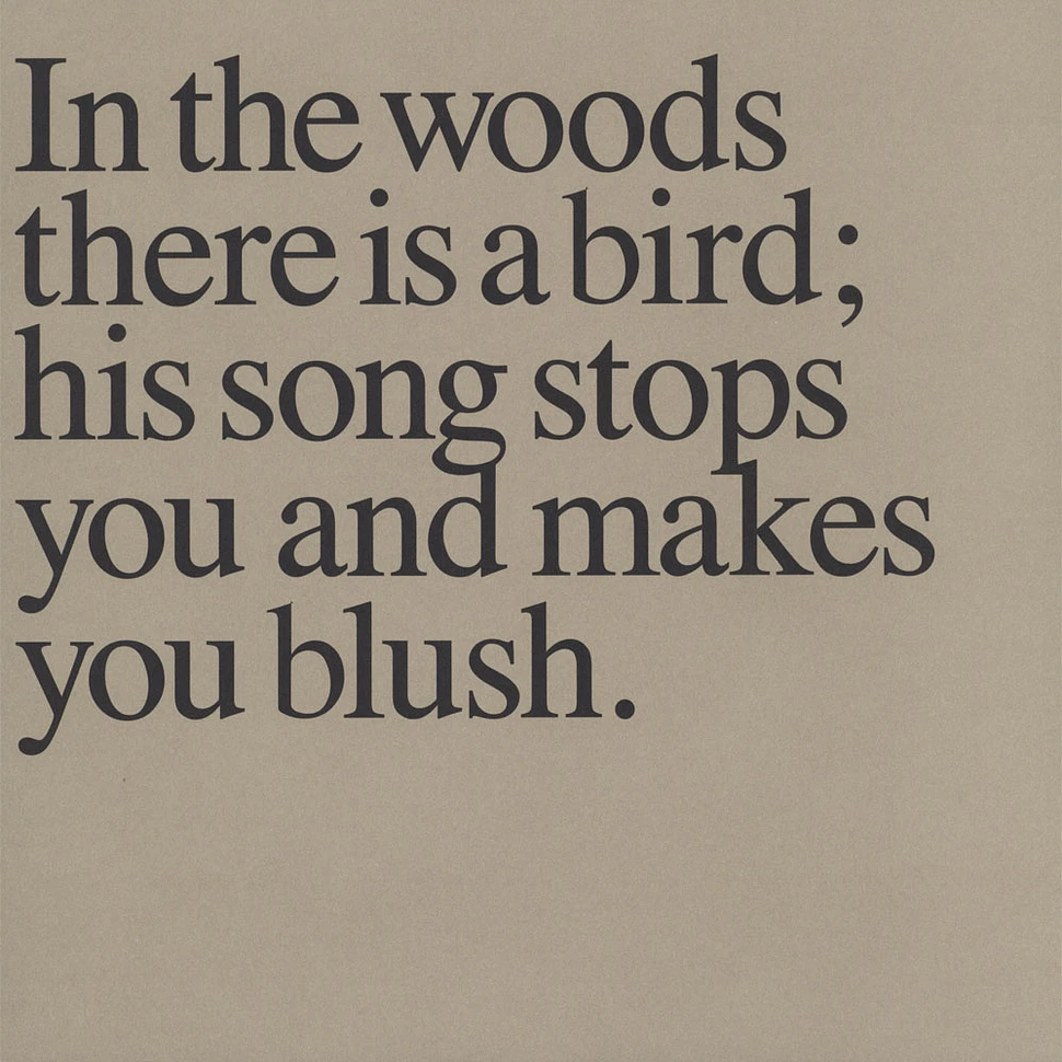 Olaf Nicolai - In The Woods There Is A Bird …