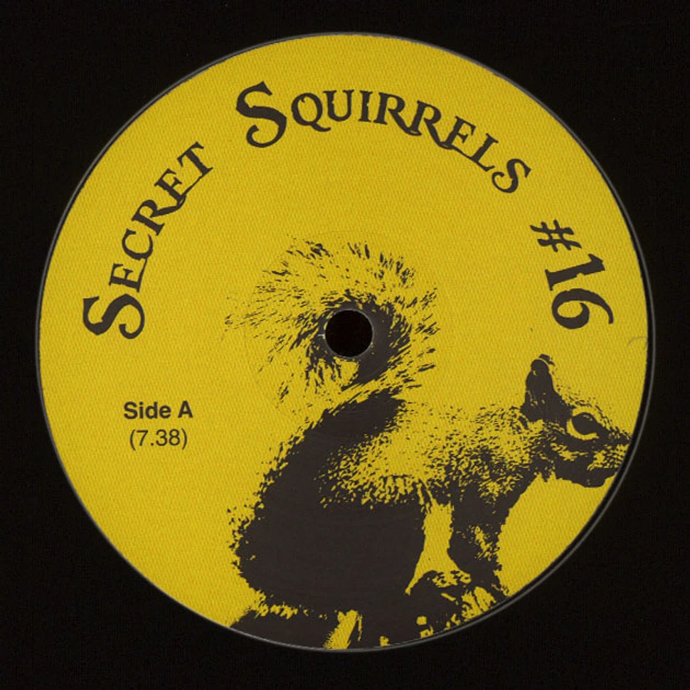 Secret Squirrel - #16