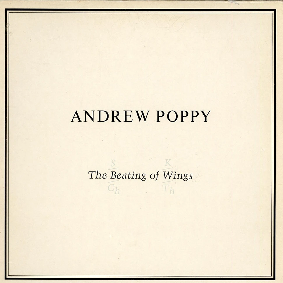 Andrew Poppy - The Beating Of Wings
