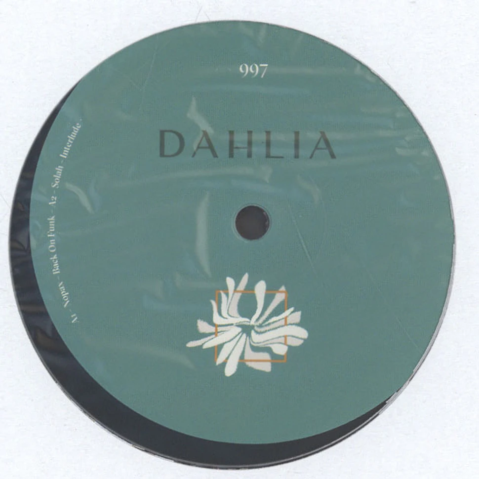 Nopax, Solah & Type X - Dahlia997