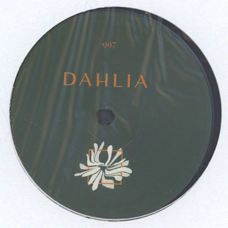 Nopax, Solah & Type X - Dahlia997