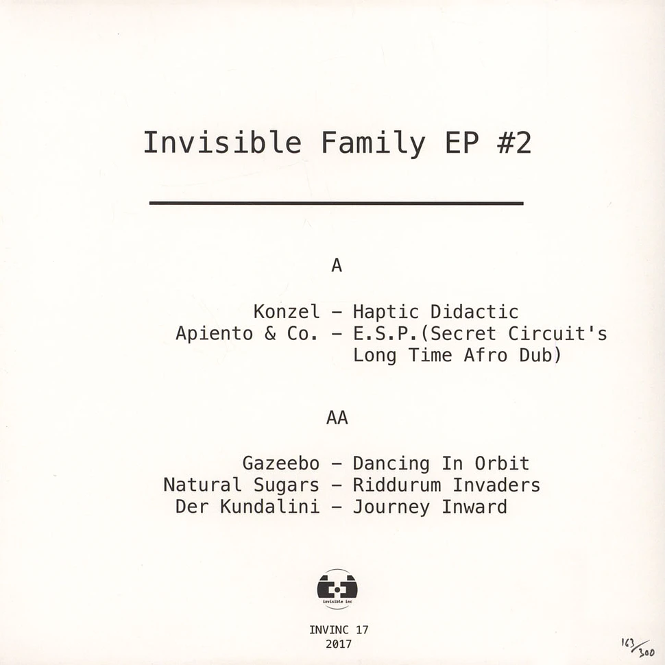 V.A. - Invisible Family 2