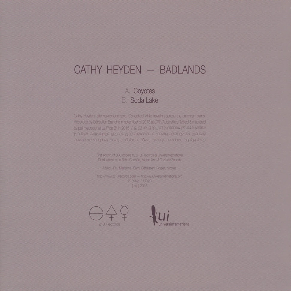 Cathy Heyden - Badlands
