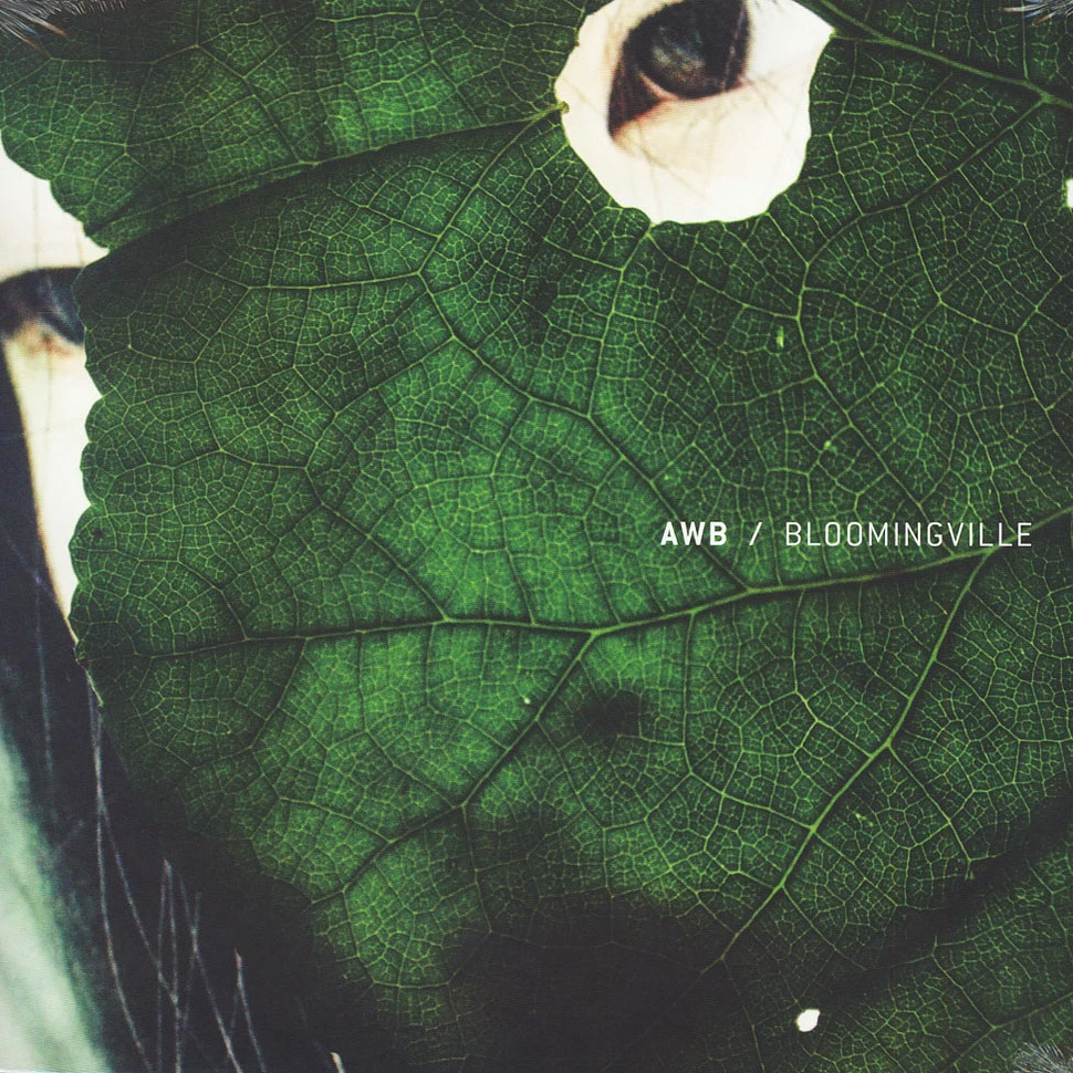 AWB - Bloomingville Peter Van Hoesen Remix