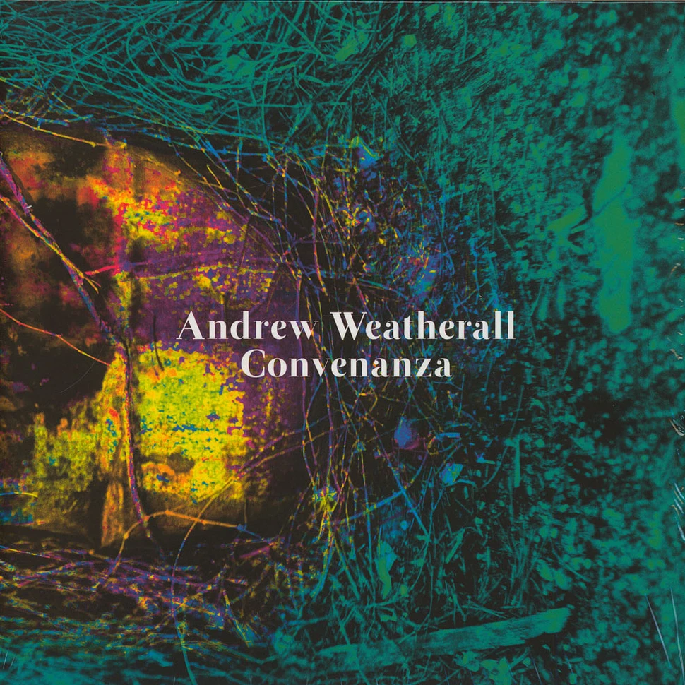 Andrew Weatherall - Convenanza