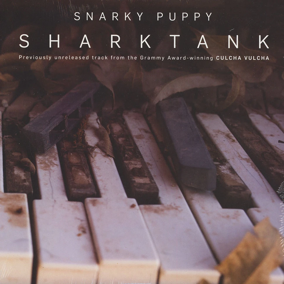 Snarky Puppy - Sharktank