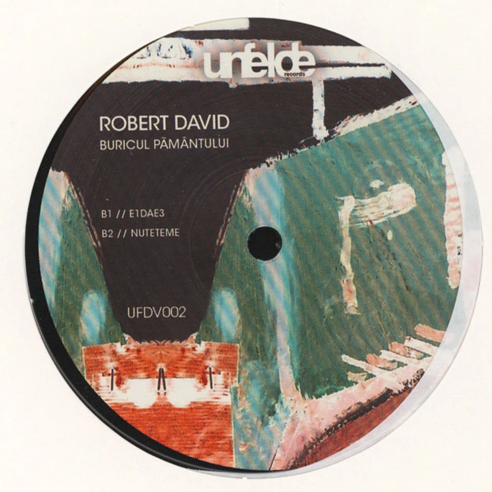 Robert David - Buricul Pamantului