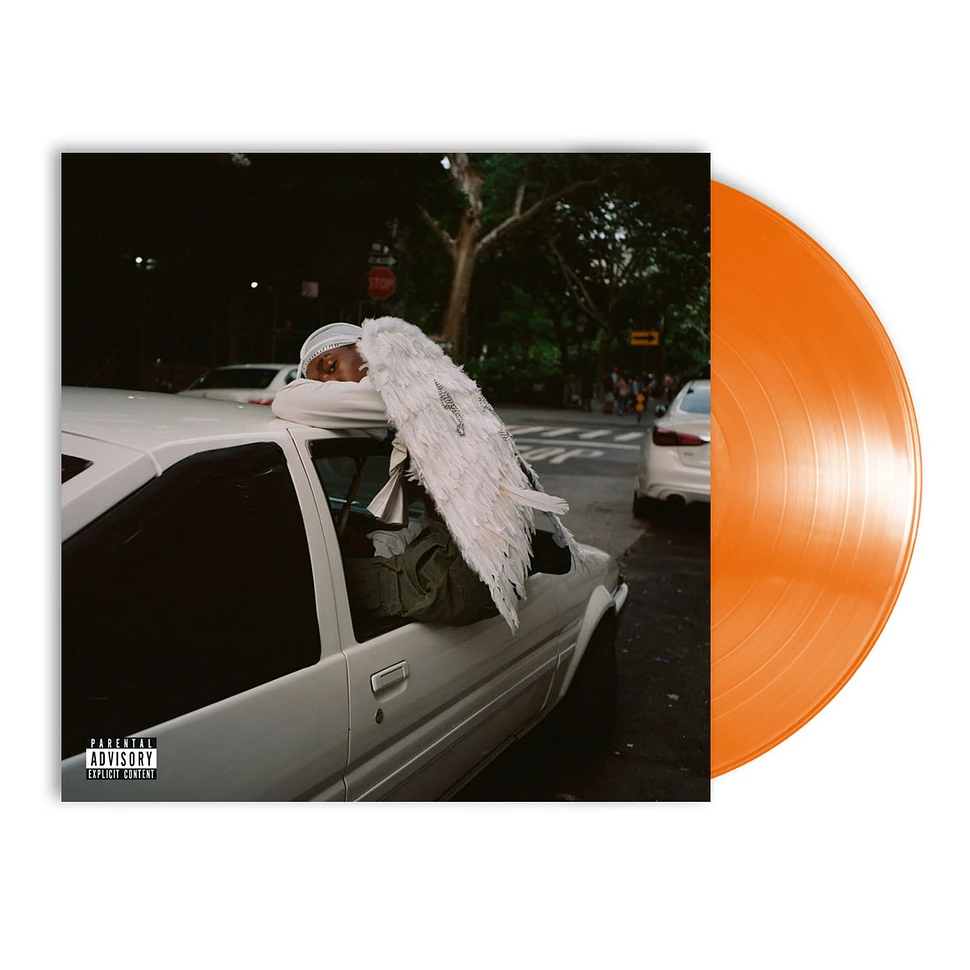 Blood Orange (Dev Hynes aka Lightspeed Champion of Test Icicles) - Negro Swan Orange Vinyl Edition