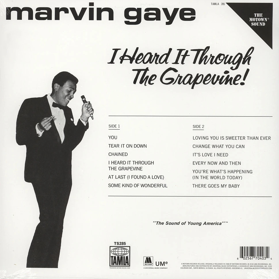 2 Marvin Gaye I Heard It Through The Grapevine.webp