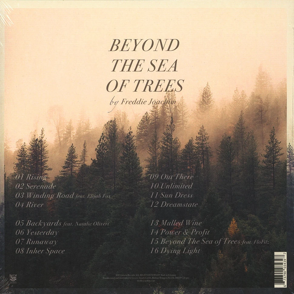 Freddie Joachim - Beyond The Sea Of Trees