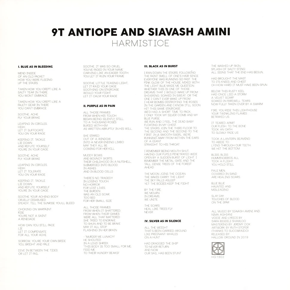 9T Antiope & Siavash Amini - Harmistice