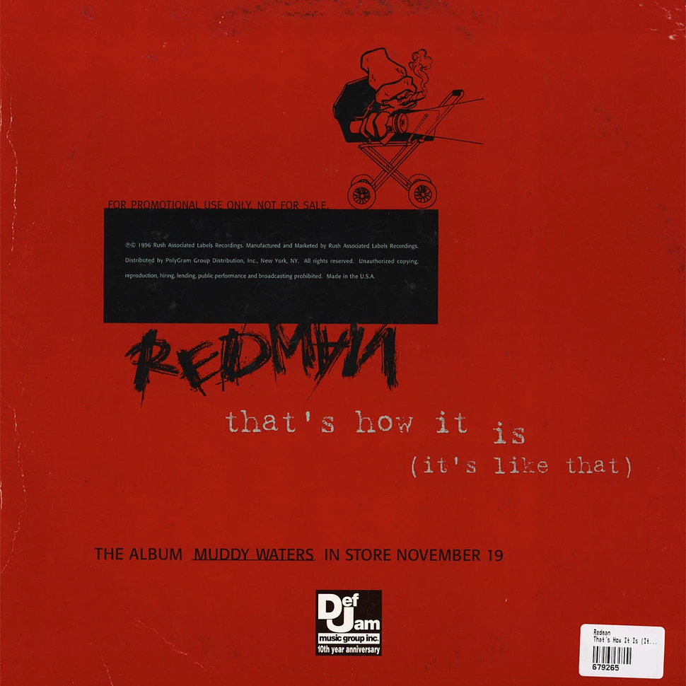 Redman - That's How It Is (It's Like That)