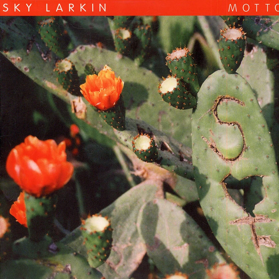 Sky Larkin - Motto