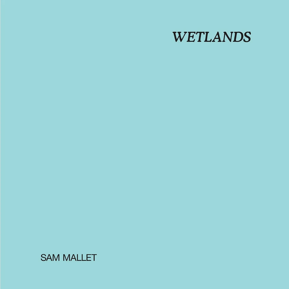 Sam Mallet - Wetlands