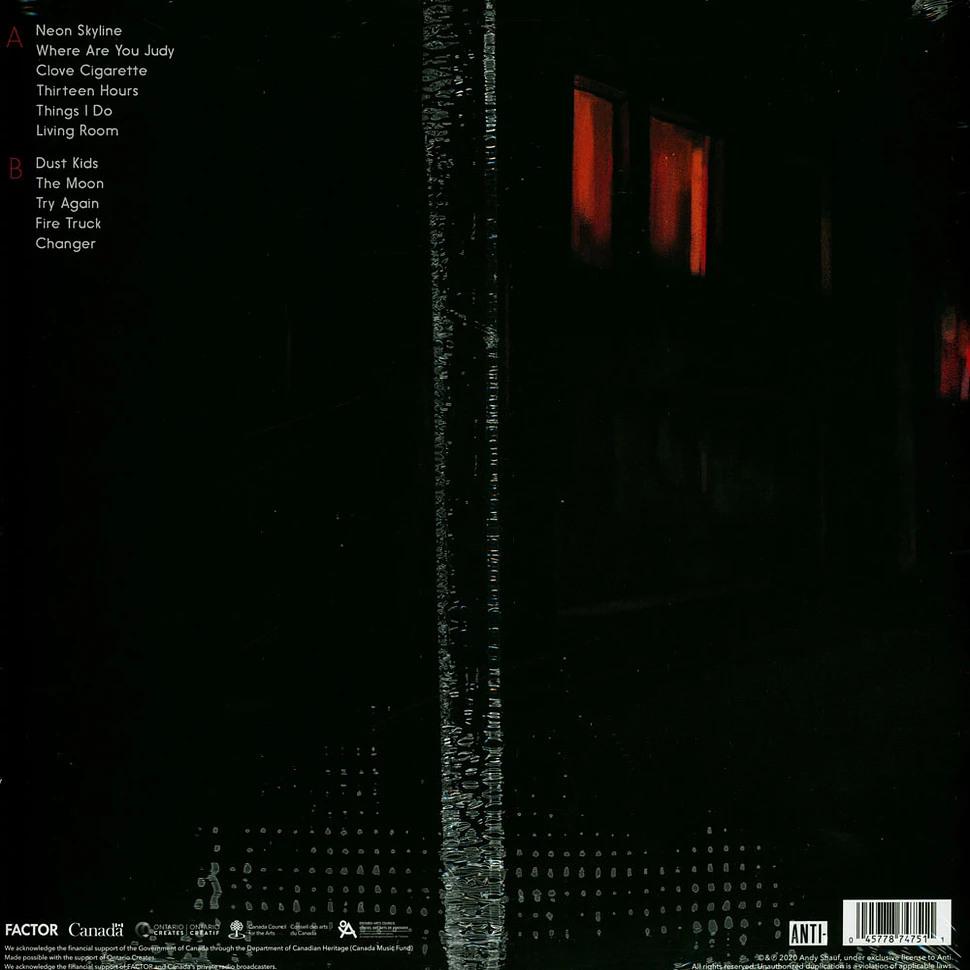 Andy Shauf - Neon Skyline Black Vinyl Edition