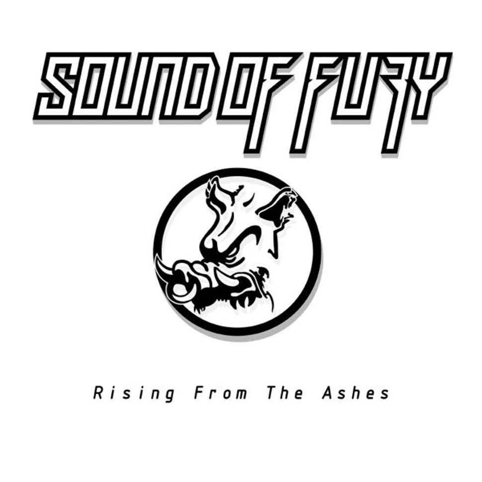 Sound Of Fury - Rising From The Ashes