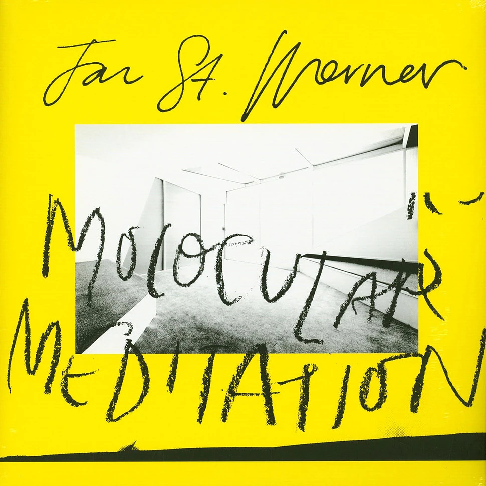 Jan St. Werner of Mouse On Mars - Molocular Meditation