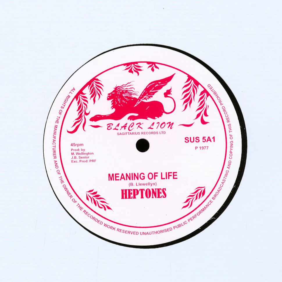 Heptones - Meaning Of Life Extended Mix / Deceivers Extended Mix