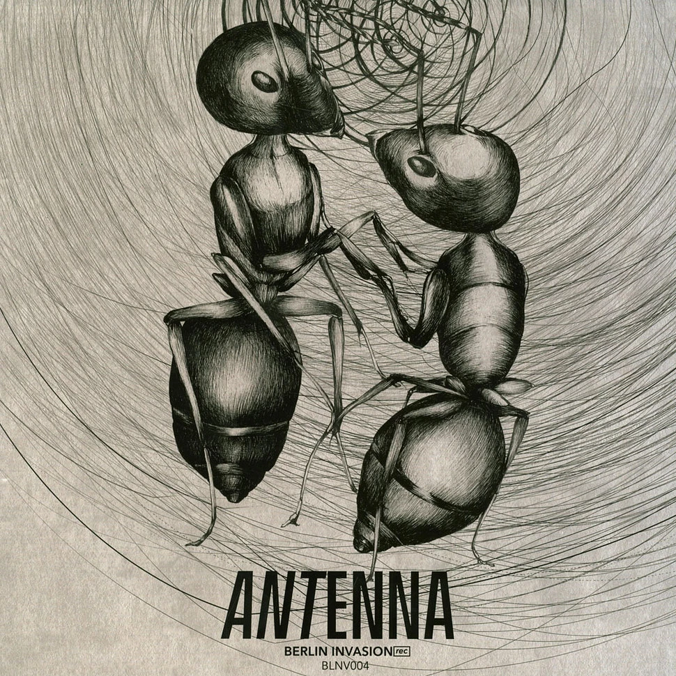 Antenna - Blnv004