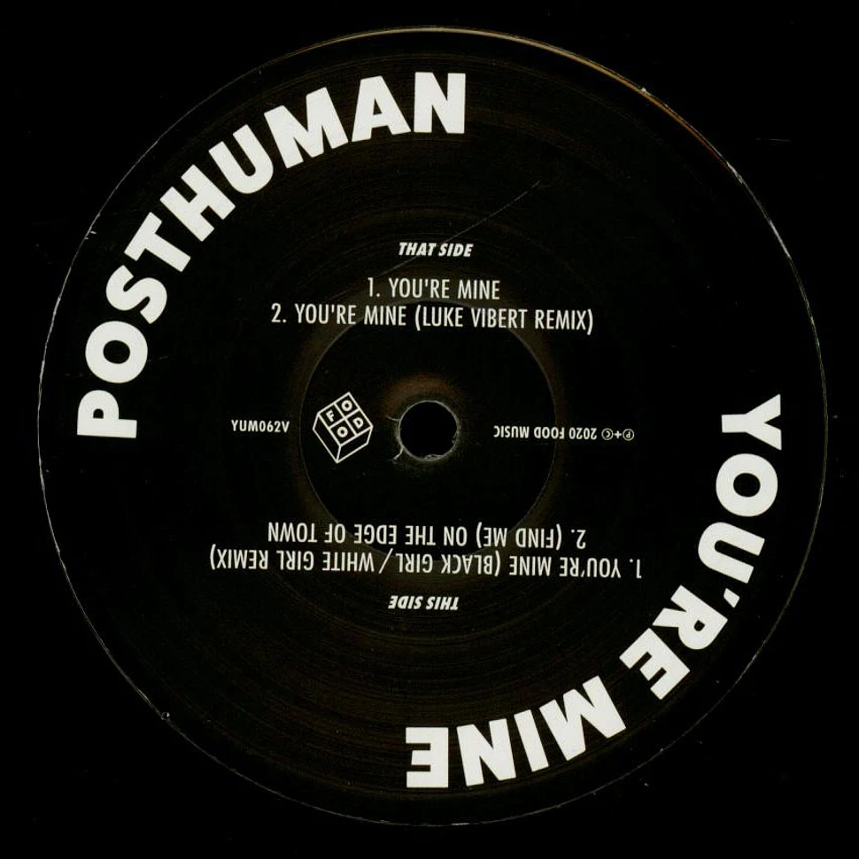 Posthuman - You're Mine Luke Vibert Remix