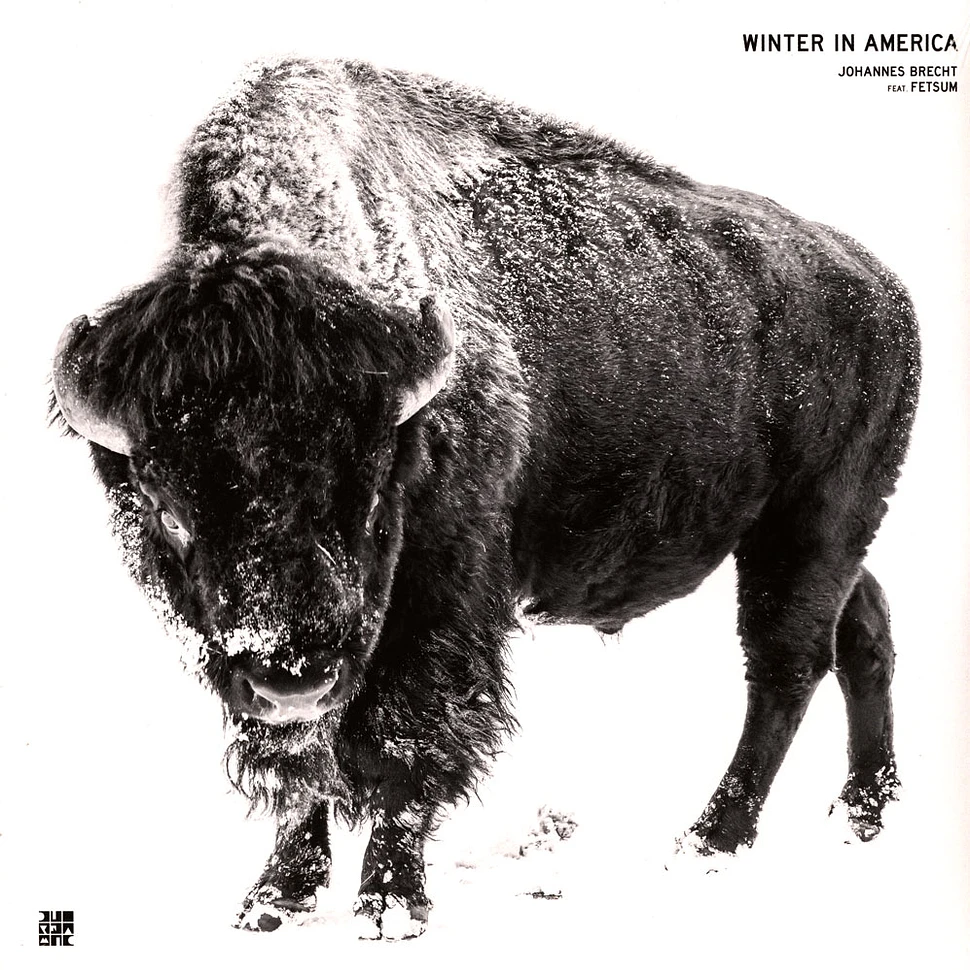 Johannes Brecht - Winter In America Feat. Fetsum White Vinyl Edition