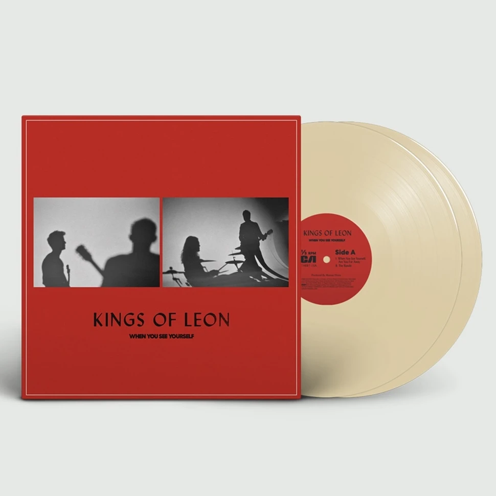 Kings Of Leonキングスオブレオン*10”レコード3枚セット - 洋楽