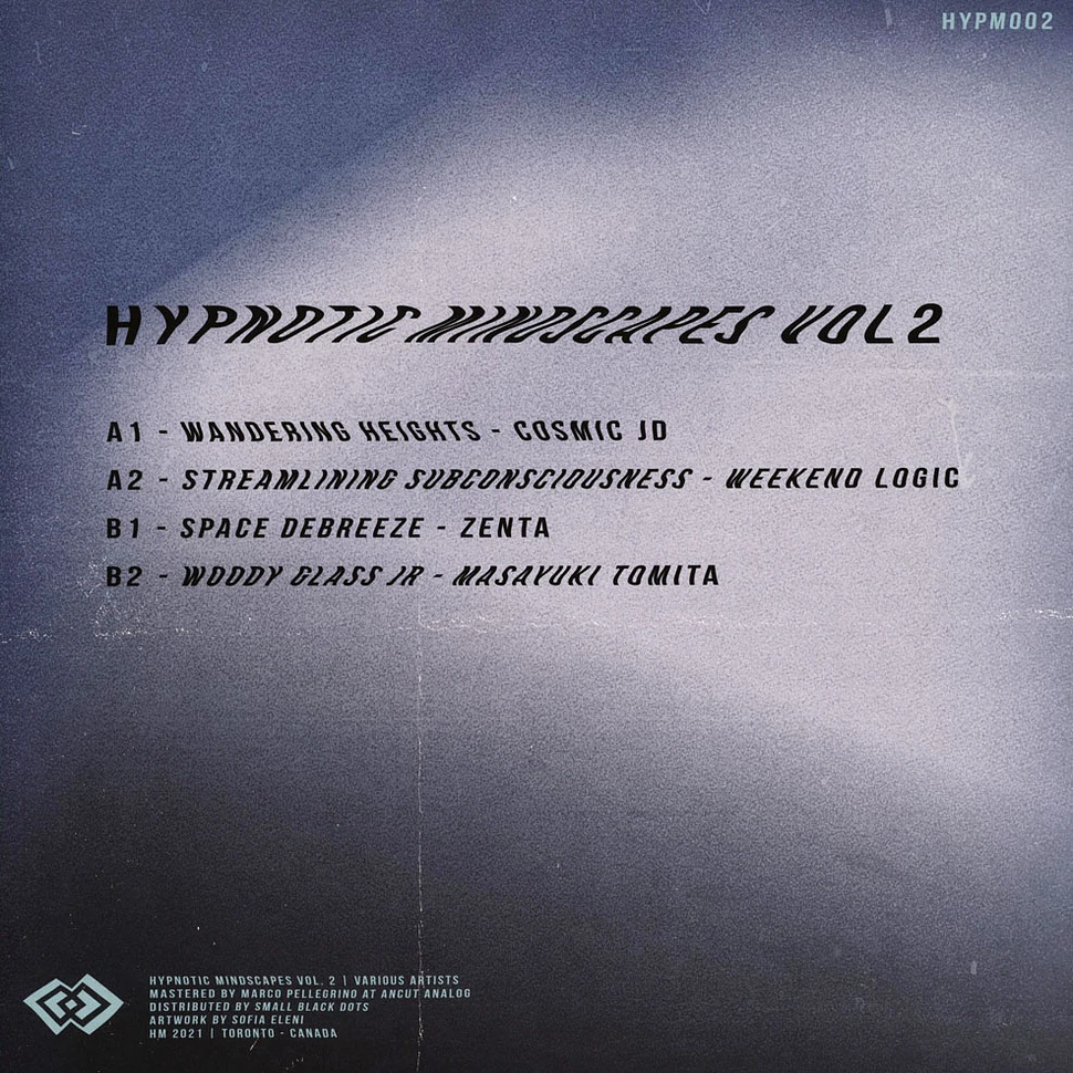 V.A. - Hypnotic Mindscapes Volume 2