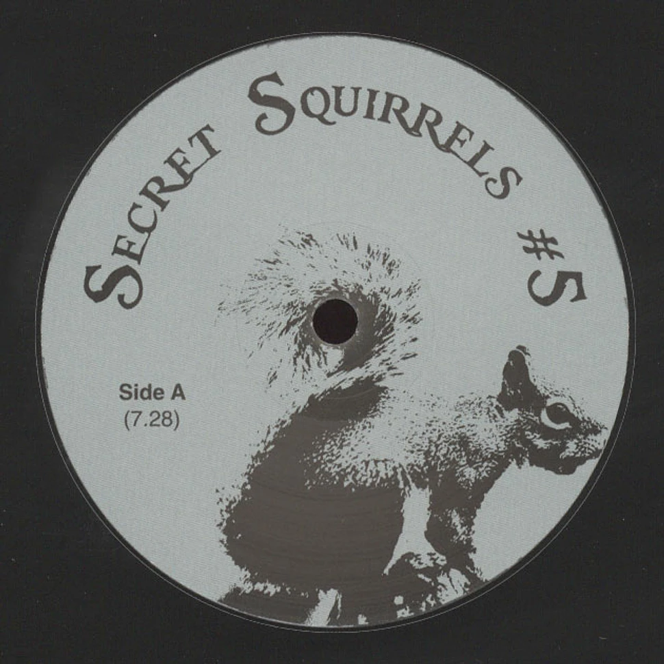 Secret Squirrel - Secret Squirrels #5