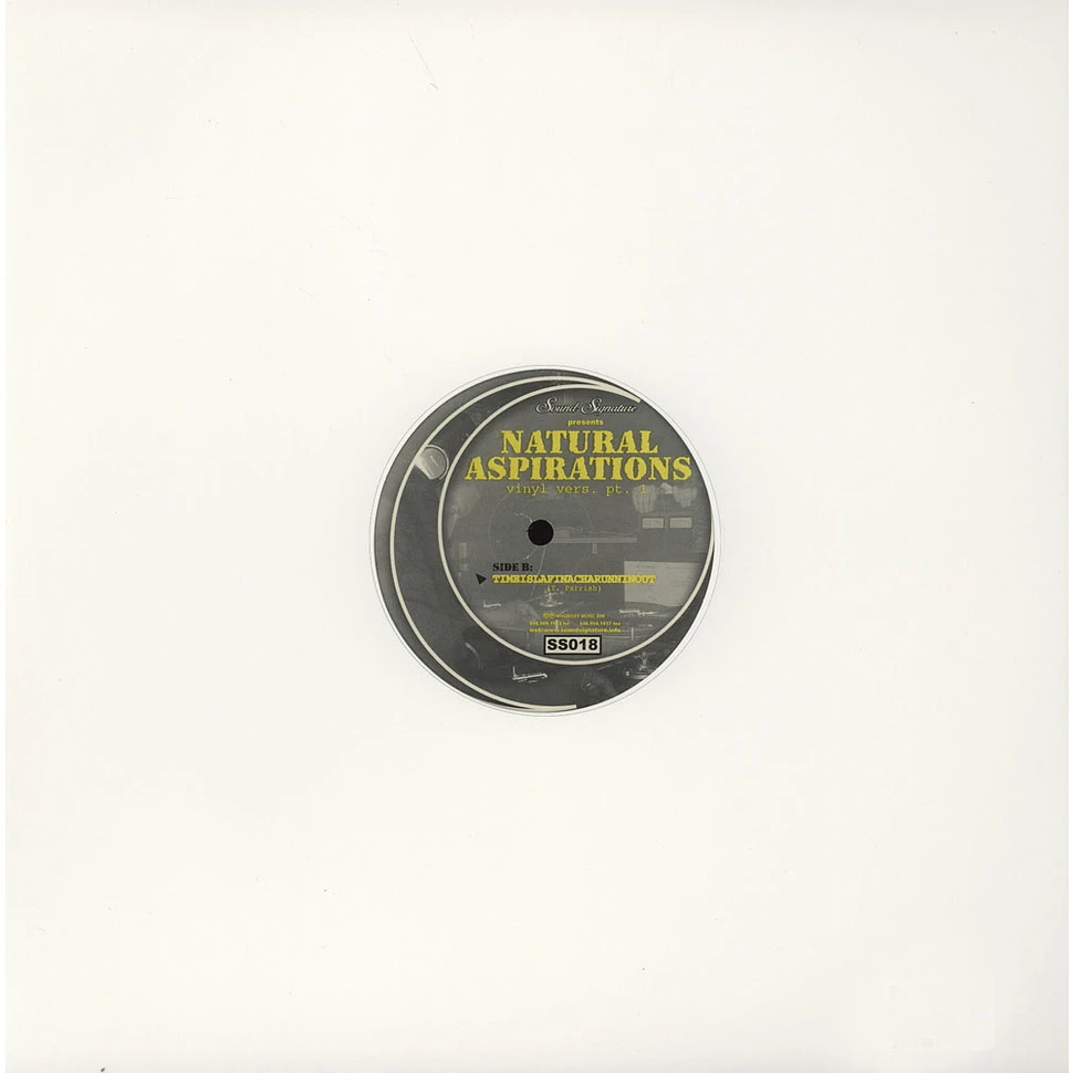 Theo Parrish - Natural Aspirations (Vinyl Vers. Pt. 1)
