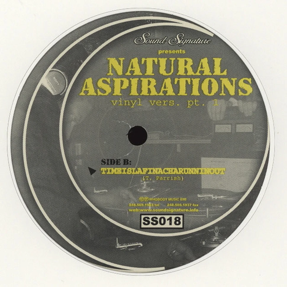 Theo Parrish - Natural Aspirations (Vinyl Vers. Pt. 1)