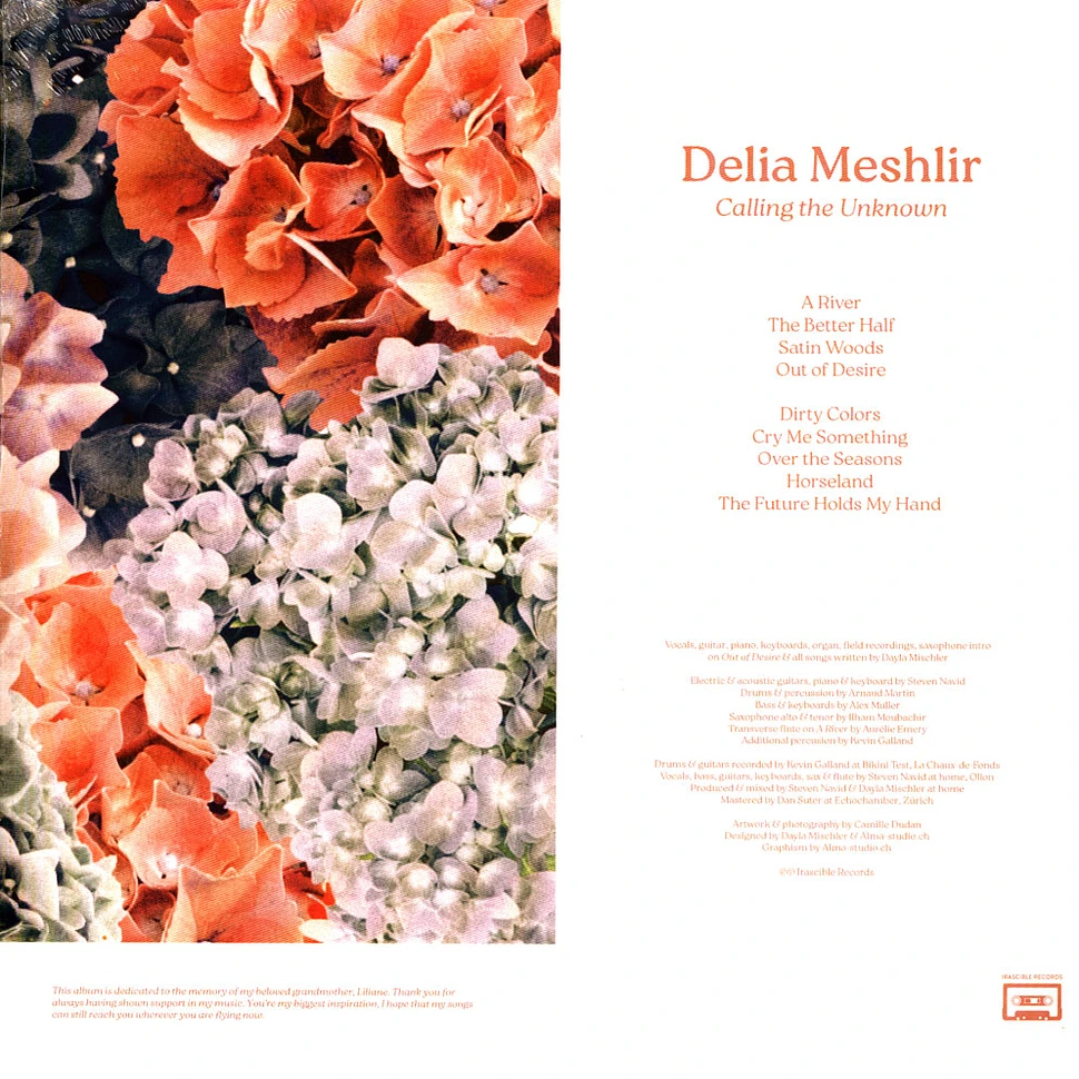 Delia Meshlir - Calling The Unknown