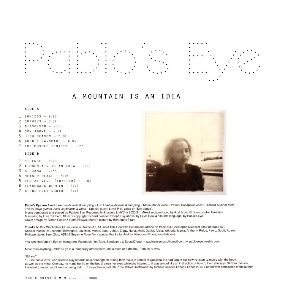 Pablo's Eye - A Mountain Is An Idea