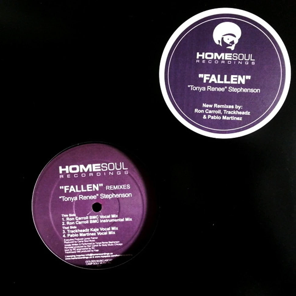 Tonya Renee Stephenson - Fallen (Remixes)