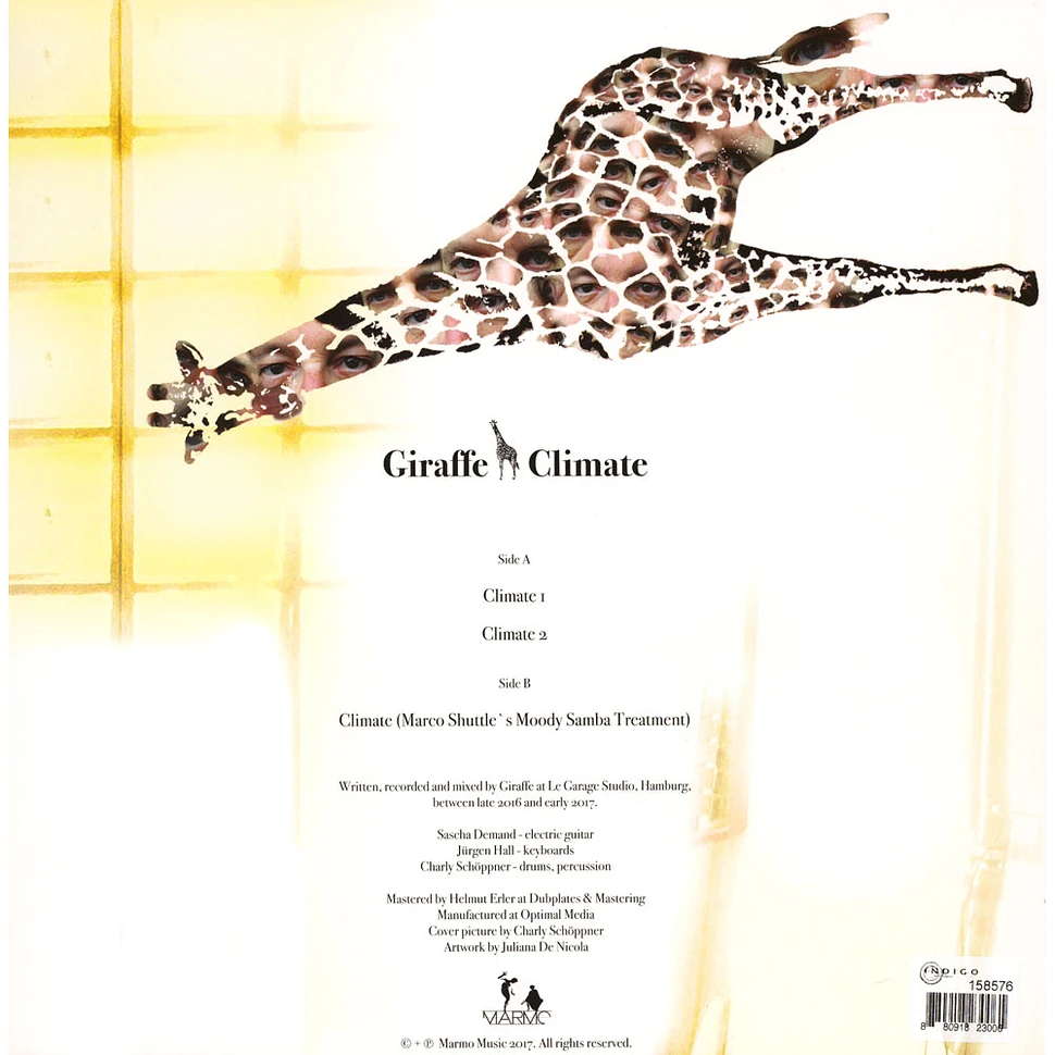 Giraffe - Climate