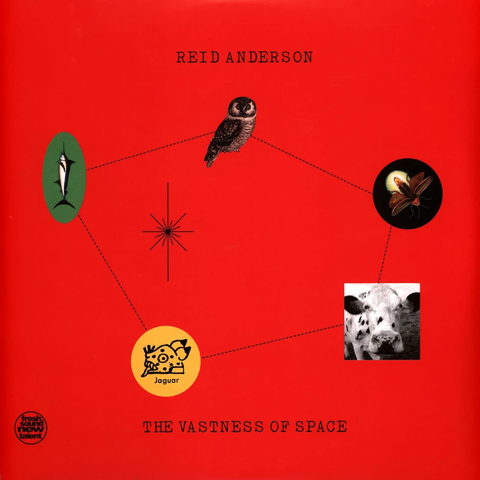Reid Anderson - The Vastness Of Space