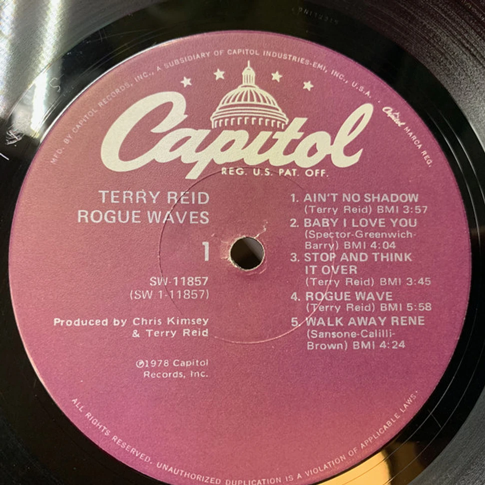 Terry Reid - Rogue Waves